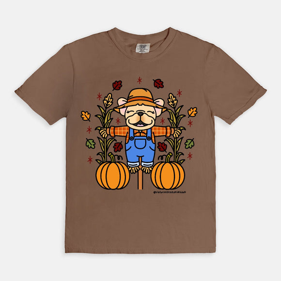 frenchie fall collection☕🍂🧺🧸