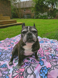 Hydrangea Frenchie Sherpa Blanket