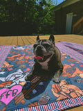 Fourth of July Picnic Towel