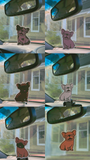 Frenchie Air Freshener ( Select Your Frenchie)