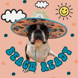 Beach Bum Straw Hat