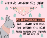Frenchie & Bright Reversible Snap On Bandana