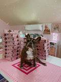 Frenchie Mom Mystery Box